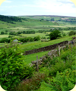 View Down Great Fryup